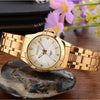 Chenxi | Luxury Stainless Steel Watch