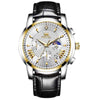 Osvel | Multi-functional Business Quartz Watch