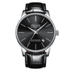 Ailing | Luxury Business Automatic Mechanical Watch